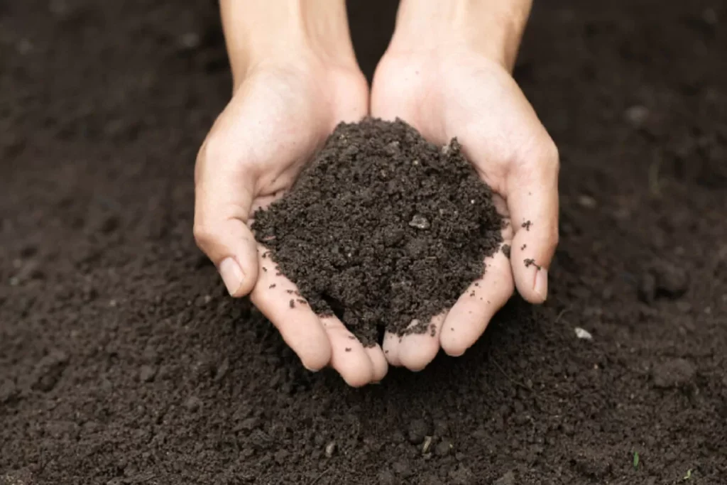 why soil treatment is a crucial pre construction measure pry52832c5yhkc6c59l32xla7djewo3rp30s094ksg